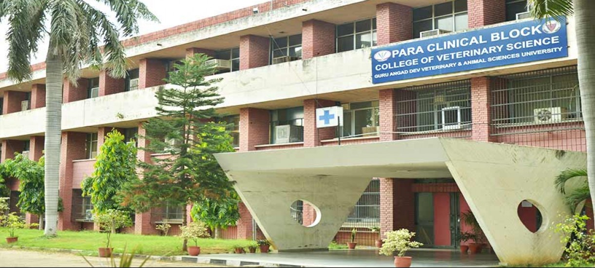 My Careers View India's Best College, School, Coaching and Consultant